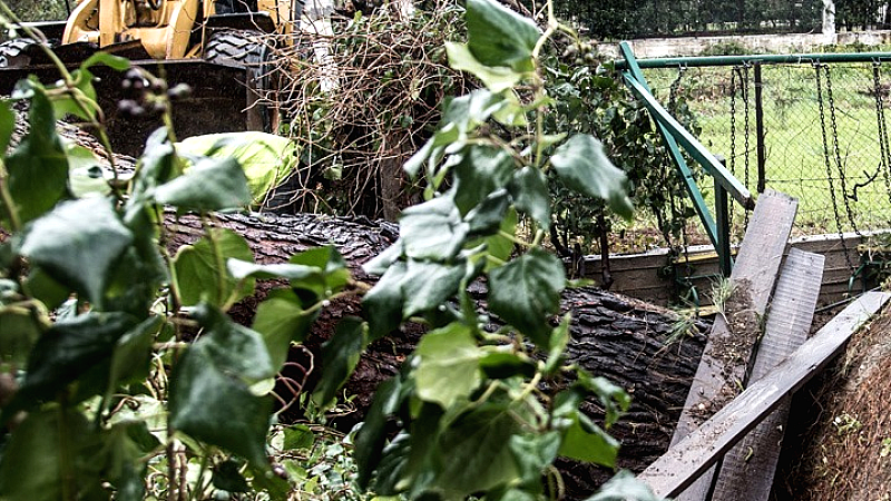 Δυνατοί άνεμοι πλήττουν τη δυτική Κρήτη, προκαλώντας πτώσεις δέντρων