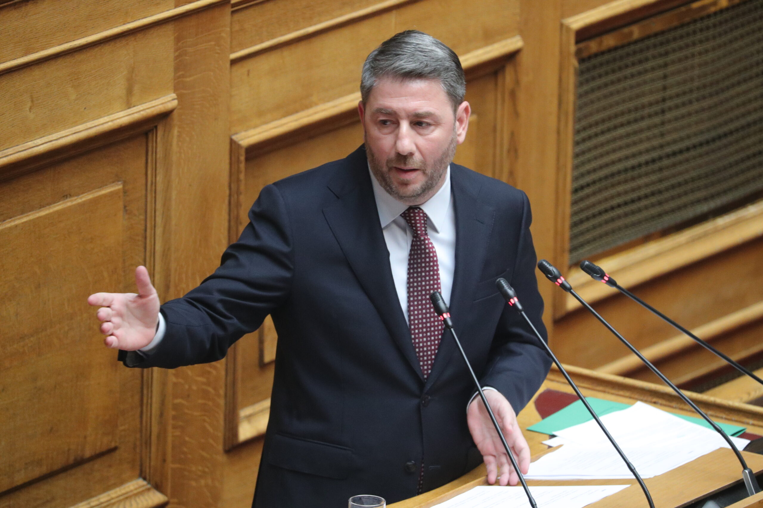 Ο Ανδρουλάκης ξεσκονίζει το Σύνταγμα και στοχοποιεί Μαξίμου