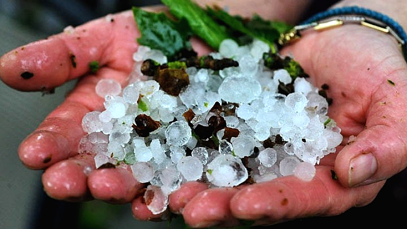 Καταστροφική χαλαζόπτωση πλήττει ελαιώνες σε ανθοφορία στην Άρτα