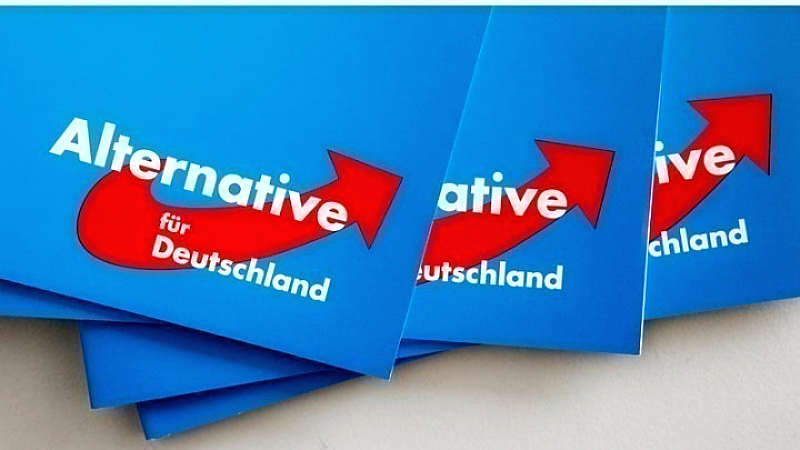 Γερμανία: Η AfD χαρακτηρίζεται ως ‘εξακριβωμένα ακροδεξιά’ από την Ομοσπονδιακή Υπηρεσία Προστασίας του Συντάγματος