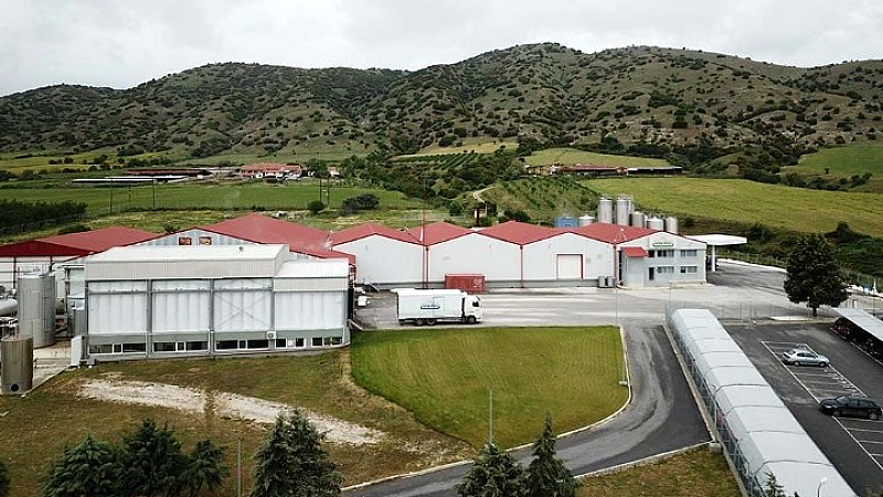 ΟΠΤΙΜΑ: Σημαντική ενίσχυση μεριδίου αγοράς για το 2024 και το πρώτο τρίμηνο του 2025