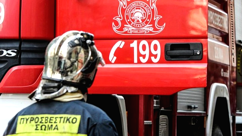 Φωτιά σε δασική περιοχή στον Αλμυροπόταμο Ευβοίας
