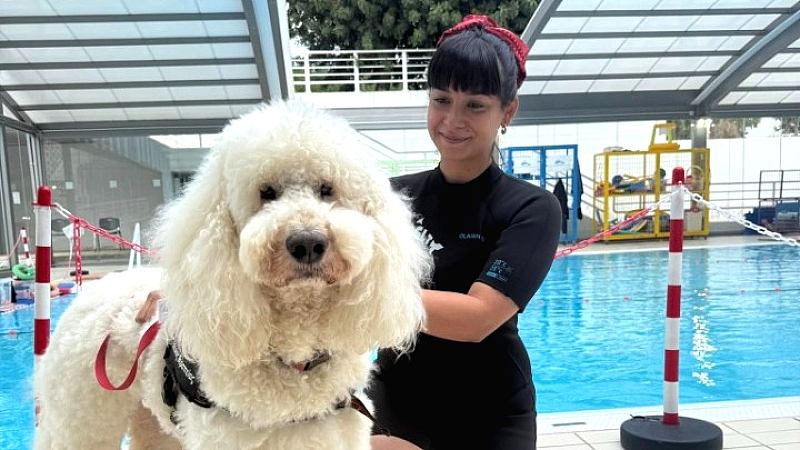 Νέα συνεργασία ΟΑΚΑ – ΕΚΑΕ με τον οργανισμό dogtherapy για παιδιά με αναπτυξιακές διαταραχές