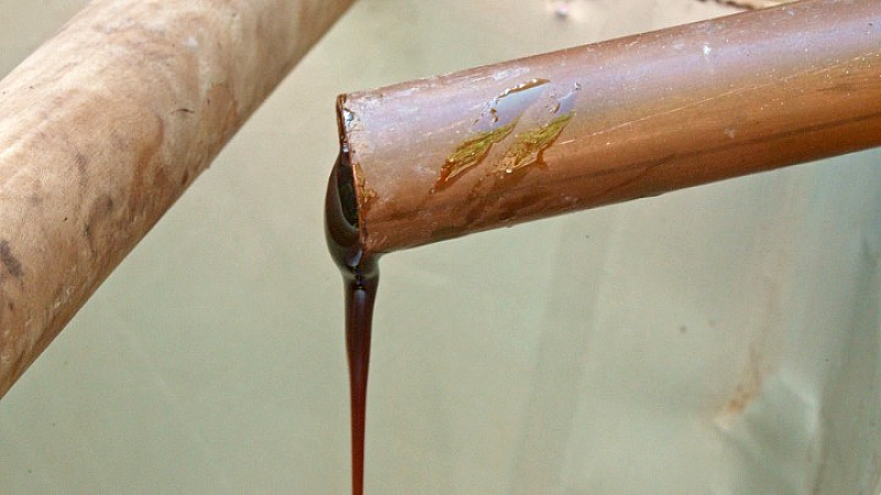 Νέα προσθήκη στο Εθνικό Ευρετήριο Άυλης Πολιτιστικής Κληρονομιάς της Ελλάδας: Τέσσερα σημαντικά στοιχεία