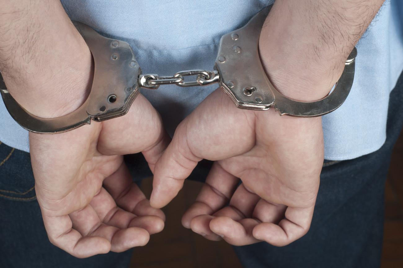 Σύλληψη του Πέτρου Λεύκοβιτς για τον βιασμό της κόρης του