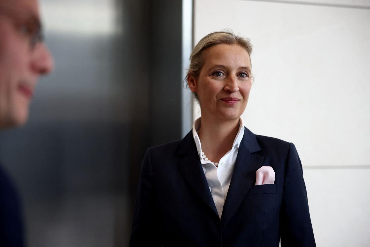AfD: Απαιτεί νέες εκλογές μετά την αποτυχία του Μερτς να εκλεγεί καγκελάριος