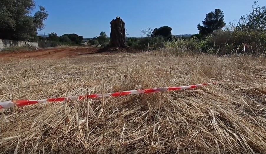 Ραφήνα: Δύο νέες προσαγωγές στην υπόθεση δολοφονίας του 41χρονου
