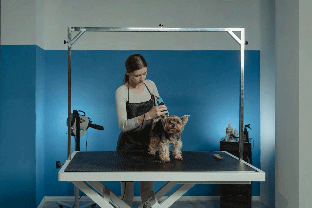 Πώς να κάνουμε τον σκύλο μας να αγαπήσει τον pet groomer