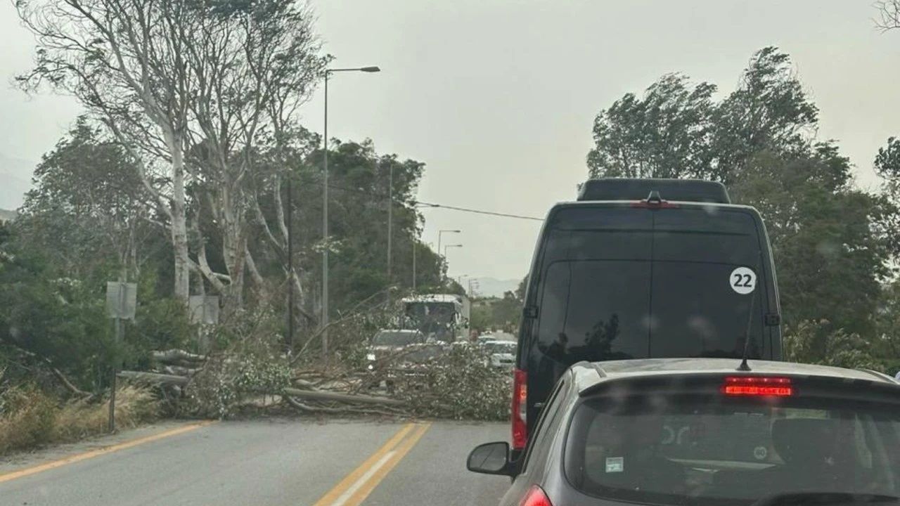Κρήτη: Σφοδροί άνεμοι προκαλούν πτώσεις δέντρων και προβλήματα στις συγκοινωνίες