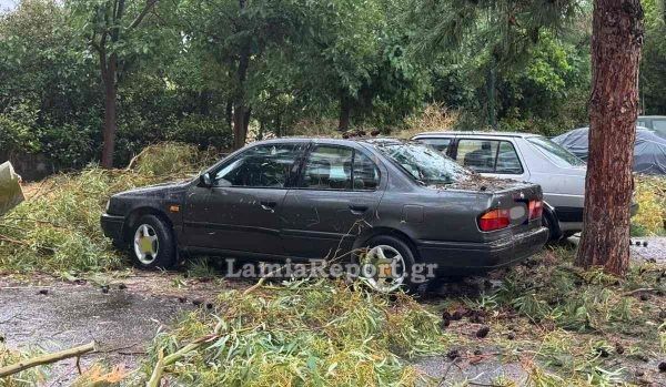 Λαμία: Ισχυρές καταιγίδες προκαλούν σοβαρά προβλήματα – Διακοπές ρεύματος και πλημμυρισμένοι δρόμοι
