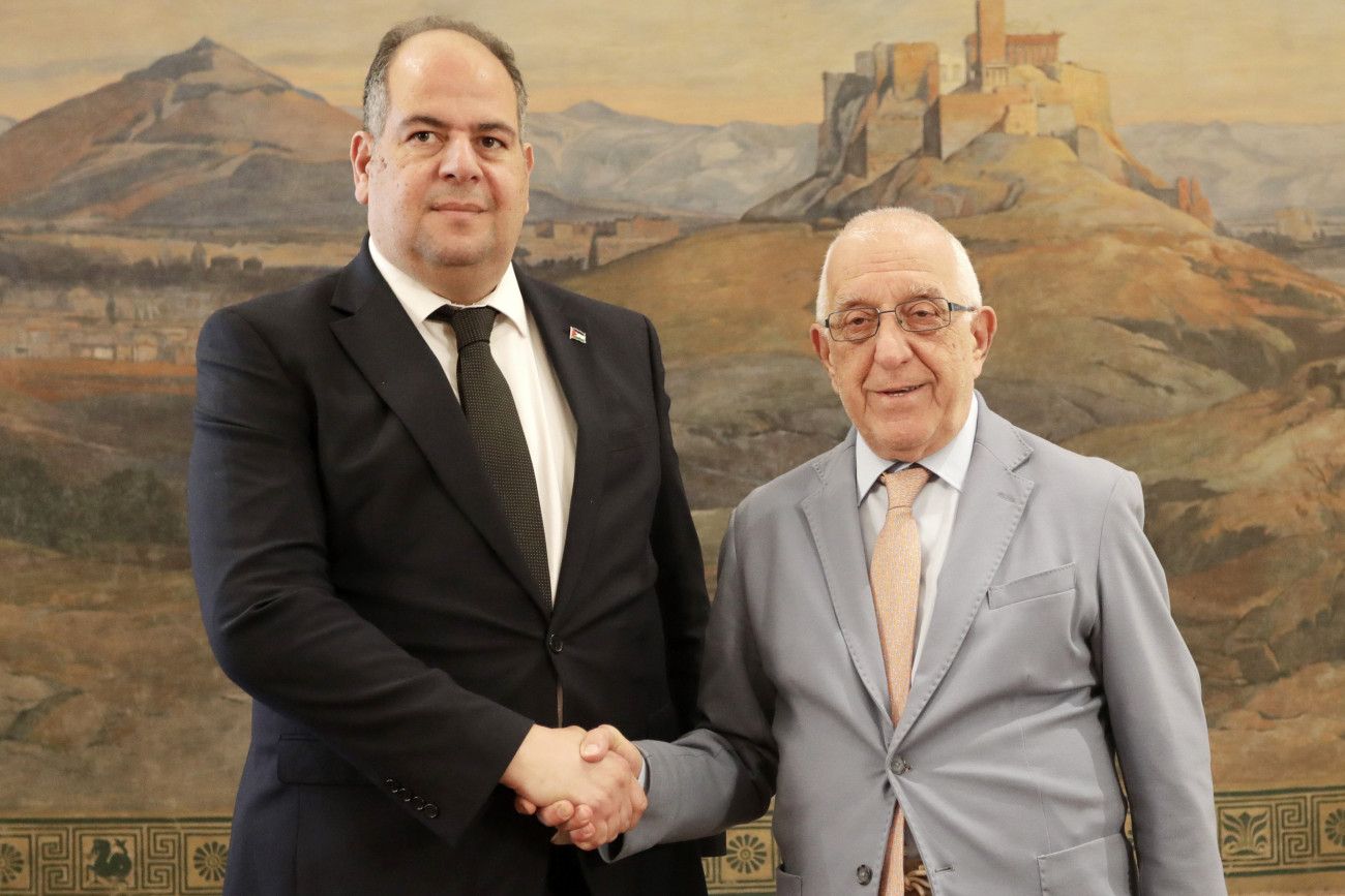 Η Βουλή παρέχει ιατροφαρμακευτική και νοσοκομειακή περίθαλψη σε δέκα παιδιά από τη Γάζα