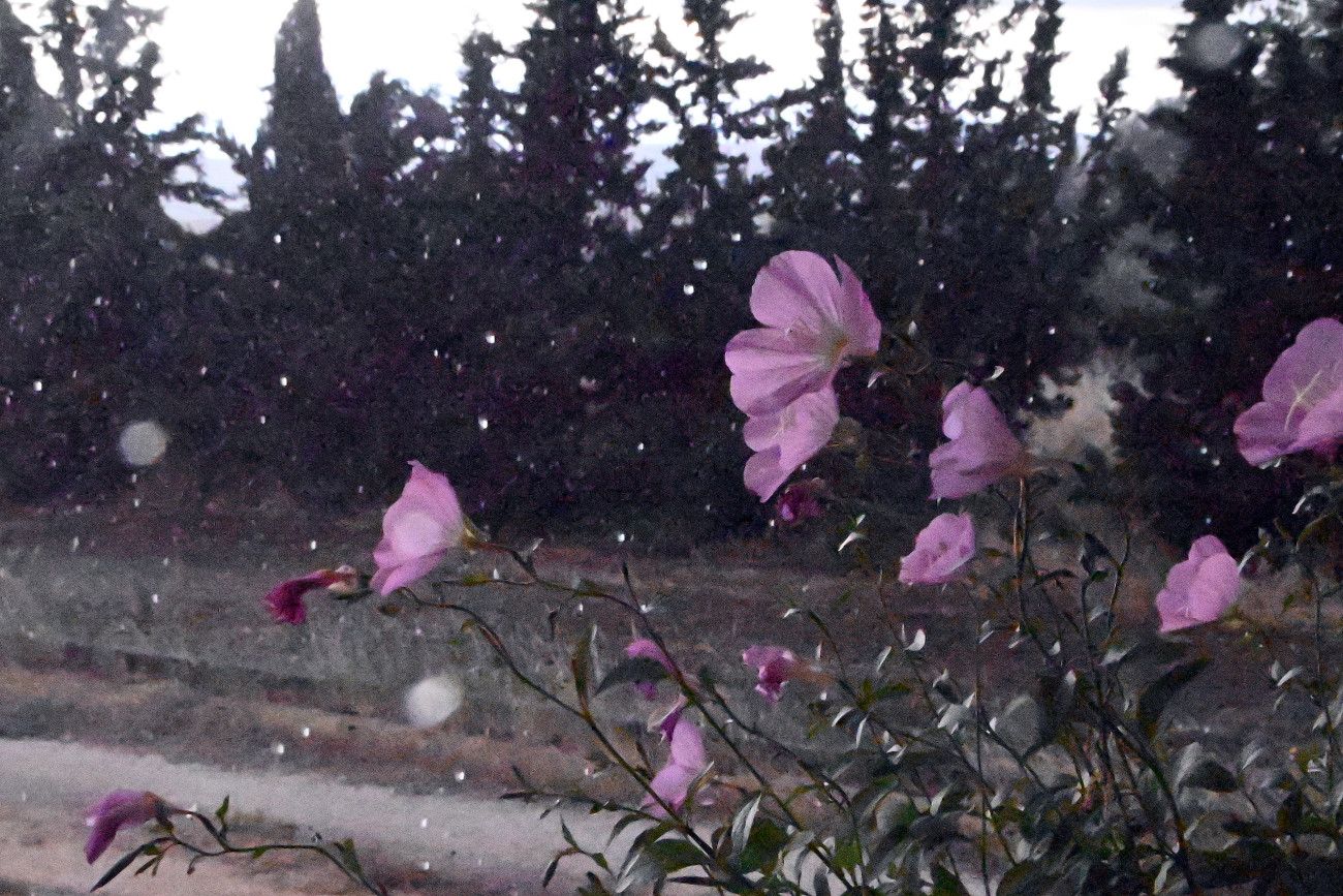 Αστάθεια και βροχές το Σάββατο: Πλησιάζουν καταιγίδες στην Αττική