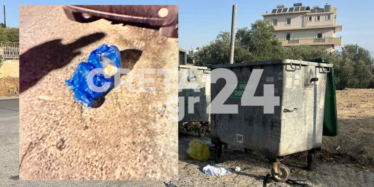 Ηράκλειο: Για απόπειρα παιδοκτονίας κατηγορείται μητέρα που πέταξε το νεογνό της σε κάδο σκουπιδιών