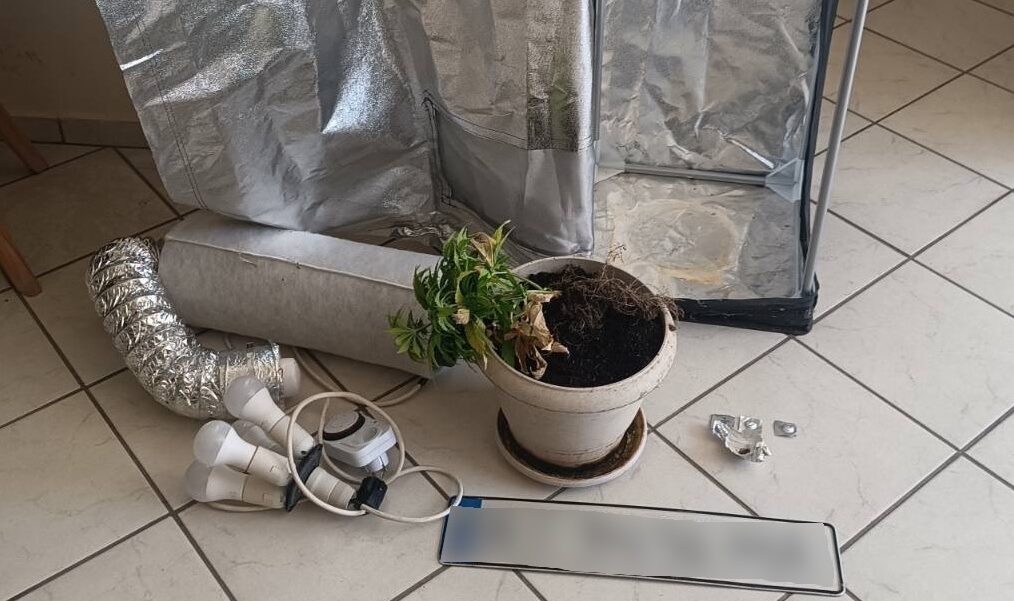Χαλκιδική: Συνελήφθη ζευγάρι για κατοχή ναρκωτικών – Τους κατασχέθηκε ολόκληρος εξοπλισμός καλλιέργειας κάνναβης