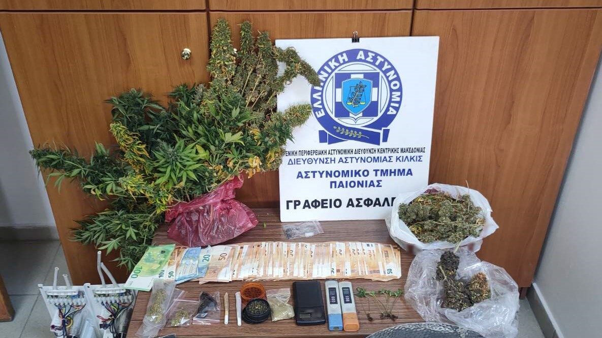 Θεσσαλονίκη: Συνελήφθη ένα άτομο για καλλιέργεια δενδρυλλίων κάνναβης – Ολόκληρο παρασκευαστήριο έκρυβε σπίτι του