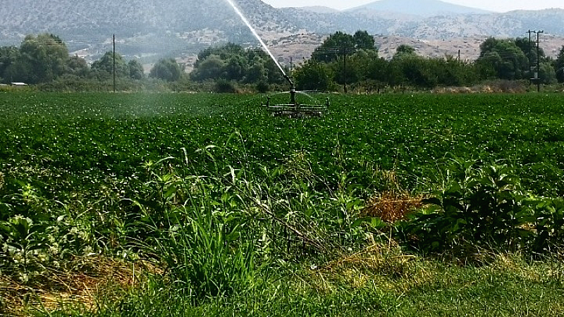 Αναδασμός 15.000 στρεμμάτων για την ενίσχυση της αγροτικής παραγωγής στο Διδυμότειχο