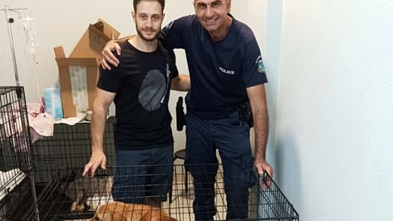 Διάσωση δυο σκυλιών από αστυνομικούς και προσωπικό νοσοκομείου στη Βέροια
