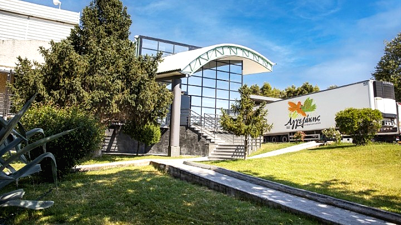 Θετική πορεία για την Αγγελάκης ΑΕ στο πρώτο τετράμηνο του 2025