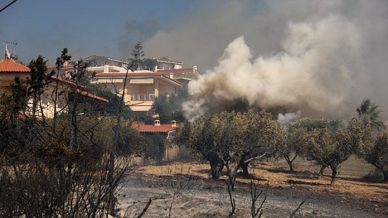 Στο στόχαστρο της φωτιάς ο εθνικός δρυμός: Μάχη για την προστασία του από τον δήμαρχο Σαρωνικού