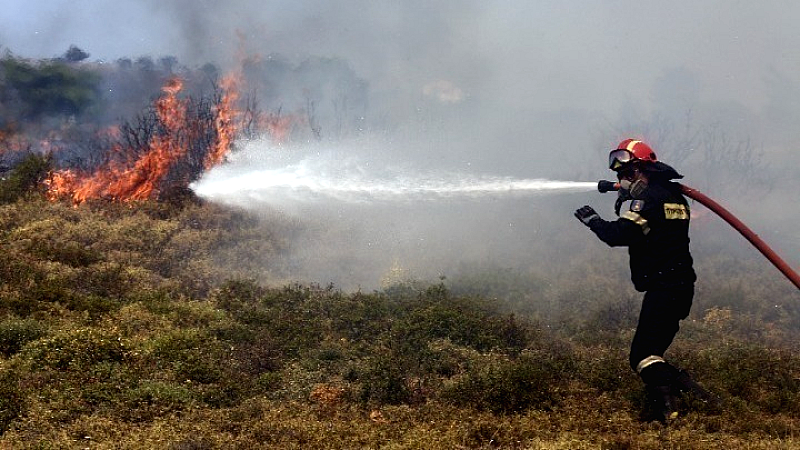 Συναγερμός για πυρκαγιά σε δασική περιοχή στο Κεφαλοχώρι Σερρών