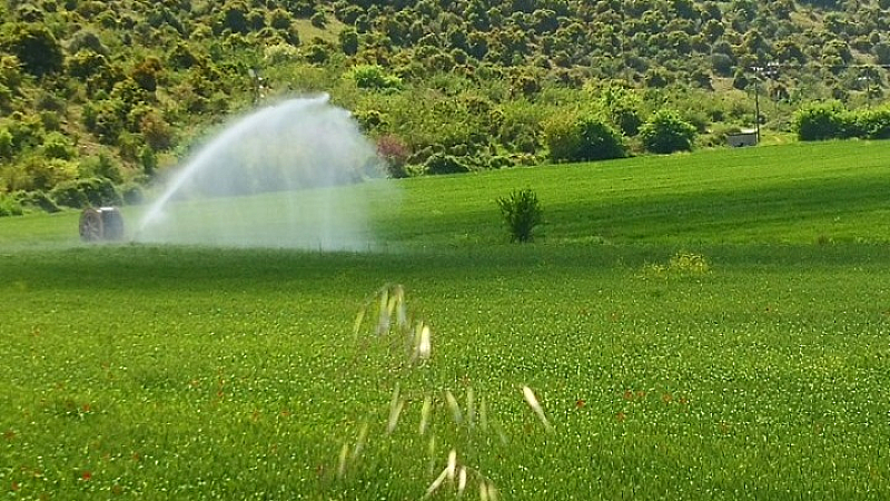 Οι συνέπειες της λειψυδρίας στη Θεσσαλία και η ανάγκη για άμεσες δράσεις