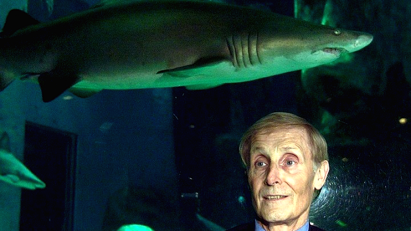 Η επική ιστορία των ‘Jaws’ στην 50ή επέτειο: Ντοκιμαντέρ που άλλαξε τον κινηματογράφο