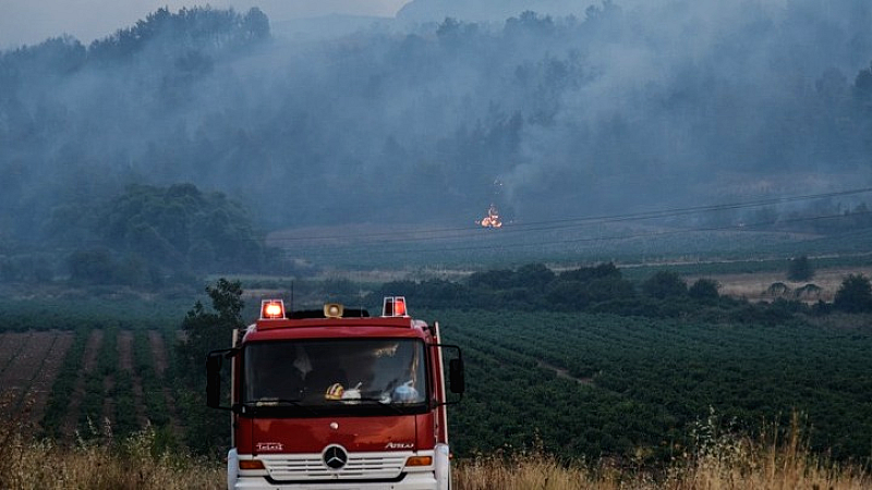 Αναζωπυρώσεις φωτιάς στην Πλατανίτη Ναυπάκτου – Χωρίς ζημιές σε κατοικίες