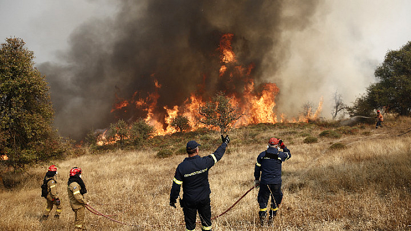 Οι επιπτώσεις των πυρκαγιών στην ποιότητα των υδάτων διαρκούν έως και οκτώ χρόνια