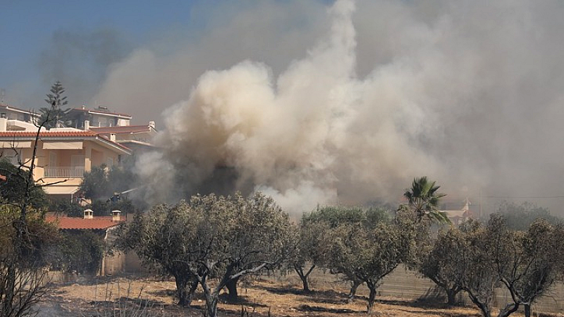Αρχίζουν οι διαδικασίες αποκατάστασης μετά τη φωτιά στην Παλαιά Φώκαια