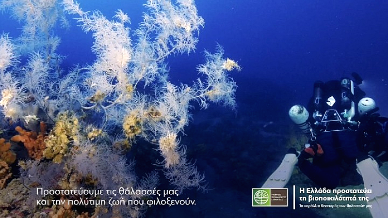 Προστασία κοραλλιών στους Φούρνους Κορσεών: Μια νέα πρωτοβουλία από το ΥΠΕΝ