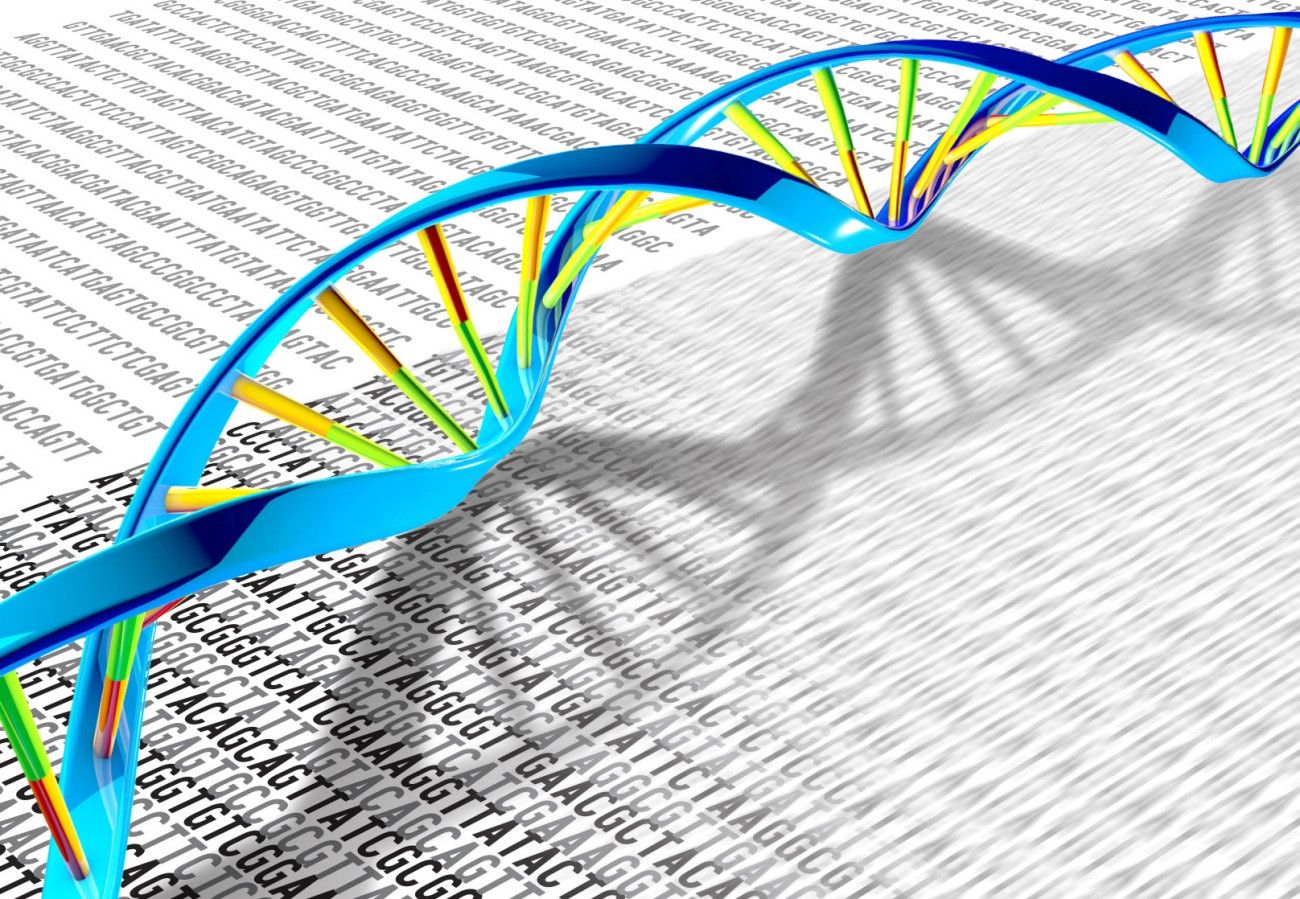 CRISPR: Νέα γενετικά εργαλεία εισάγουν ολόκληρα γονίδια στα ανθρώπινα κύτταρα