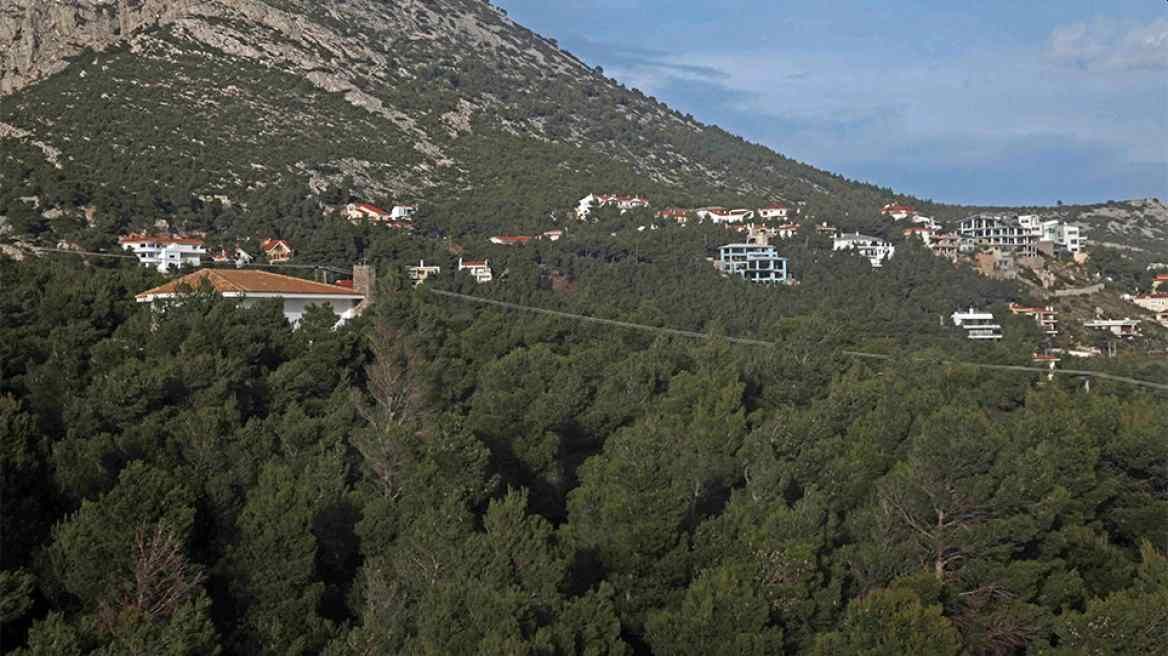 Πολεοδομικός σχεδιασμός: Ο ρόλος της κυβέρνησης στη νέα εποχή των δασών