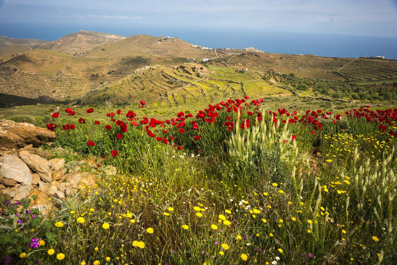 Μάιος 2025: Ψυχρότερος στη Βόρεια Ελλάδα και θερμότερος στη Νότια