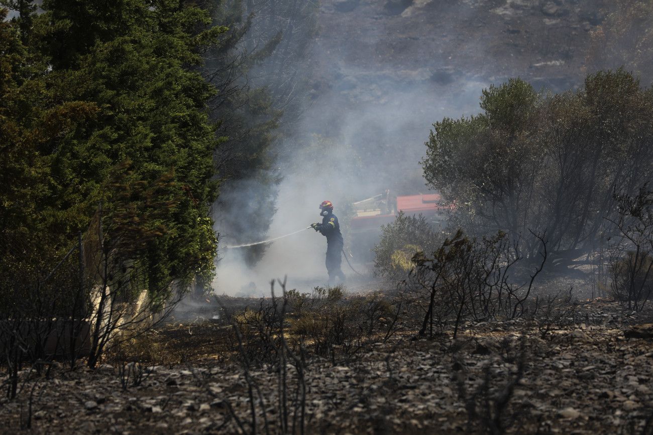 Λέκκας: Χάθηκε το 70% του δασικού ιστού στην Αττική – Ούτε ένα δέντρο δεν πρέπει να χαθεί