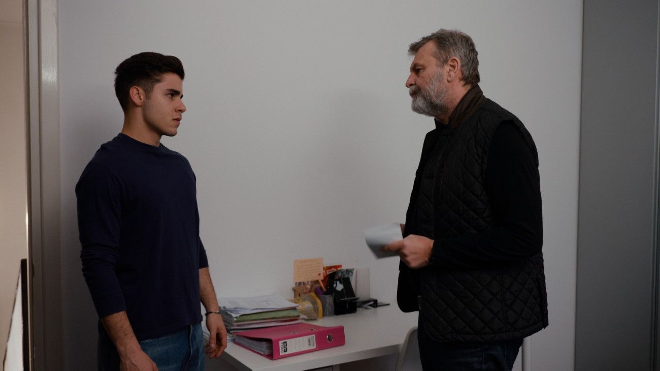 Η γη της ελιάς: Σημαντικές εξελίξεις στη Μάνη