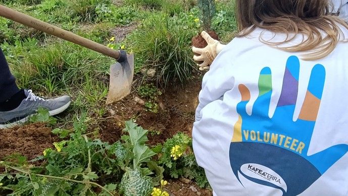 Kafea Terra: Η ηγετική ελληνική βιομηχανία καφέ επενδύει σε βιώσιμες πρακτικές