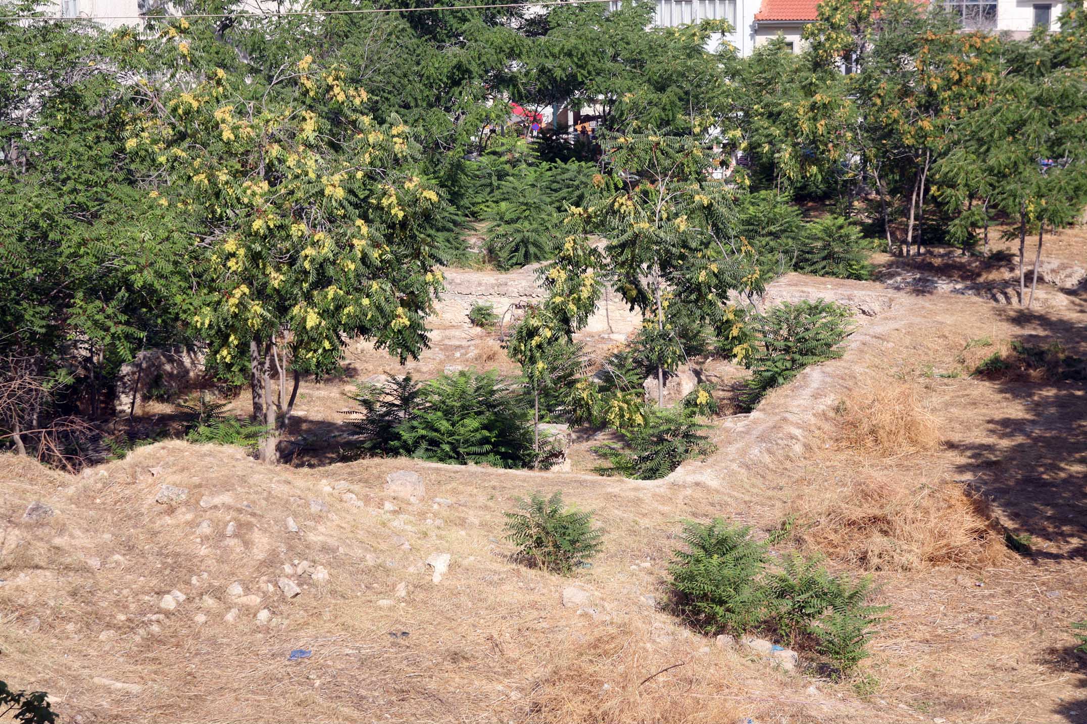 Πάνω από 700.000 δηλώσεις για τον καθαρισμό οικοπέδων εν όψει αντιπυρικής περιόδου