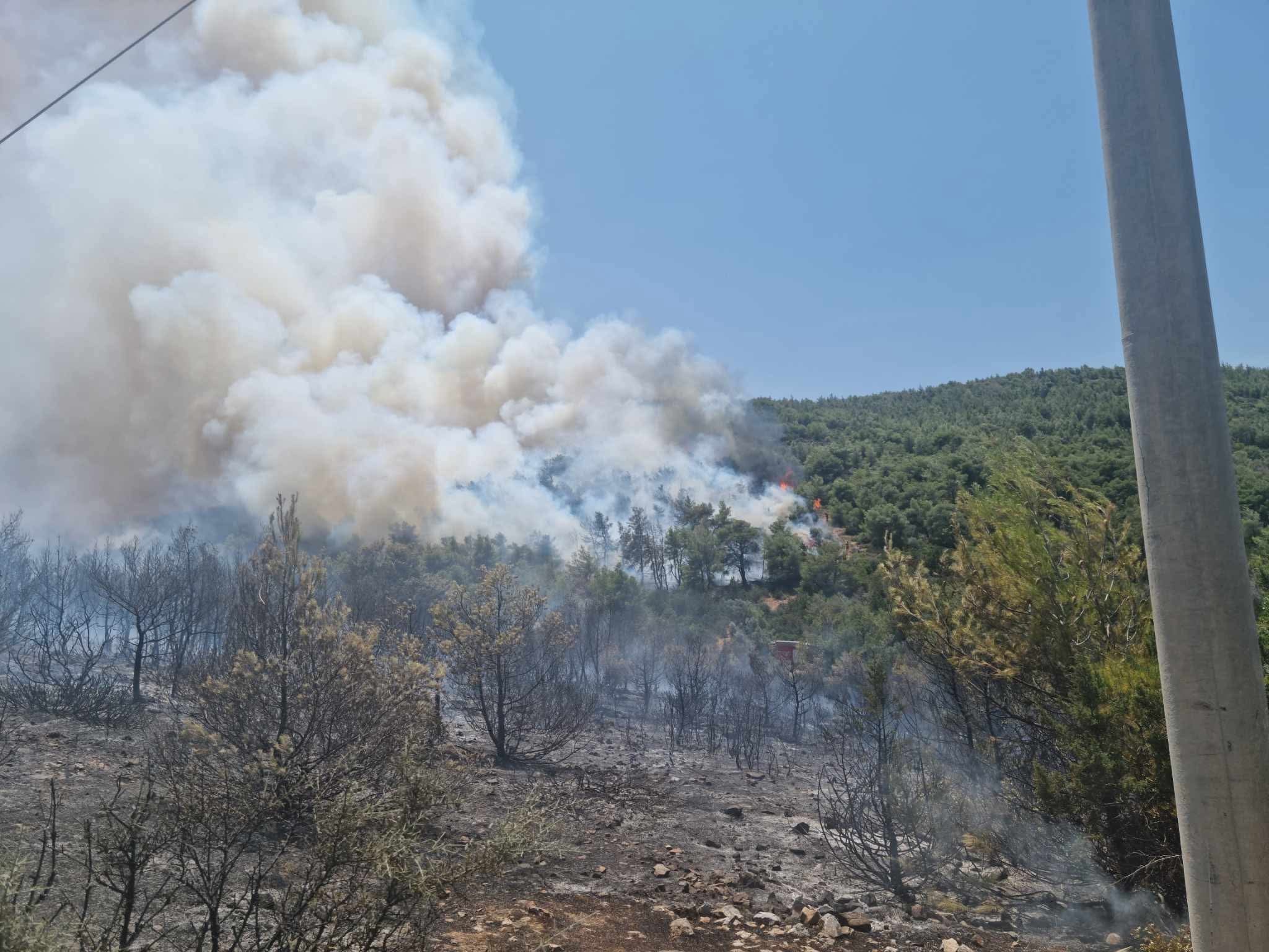 Η φωτιά στο Άνω Σούλι Μαραθώνα σε ύφεση, ισχυρές πυροσβεστικές δυνάμεις παραμένουν στην περιοχή