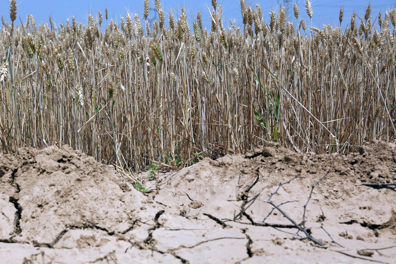 Σημαντική προειδοποίηση του ΟΟΣΑ για τη λειψυδρία στην Ελλάδα