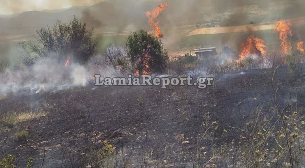 Συναγερμός στο Δομοκό: Φωτιά κινητοποιεί δυνάμεις πυρόσβεσης και εναέρια μέσα