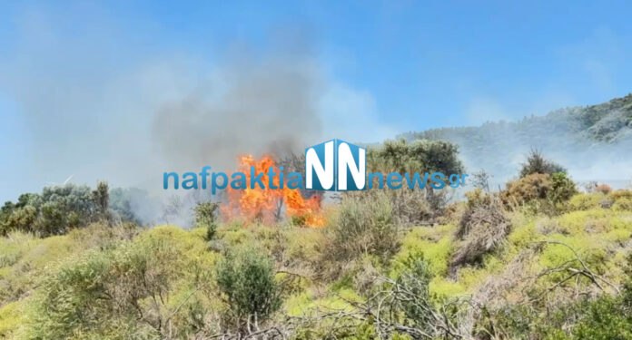 Ναύπακτος: Δασική πυρκαγιά σε εξέλιξη στον Περιφερειακό