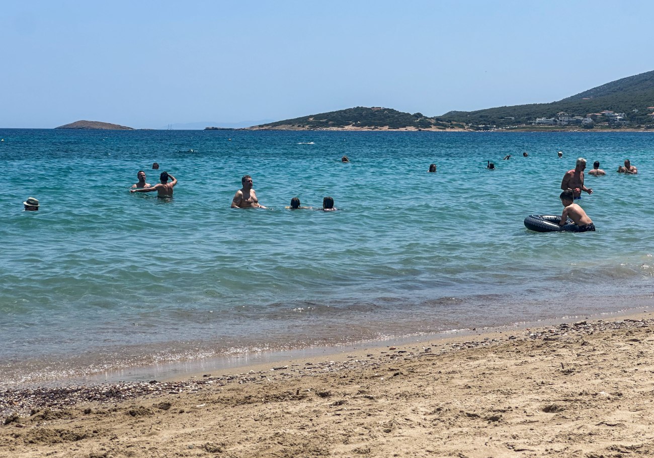 Το καλοκαίρι έφτασε και οι σαρκοφάγες θαλάσσιες ανεμώνες εγκυμονούν κινδύνους: Πώς να προστατευθείτε