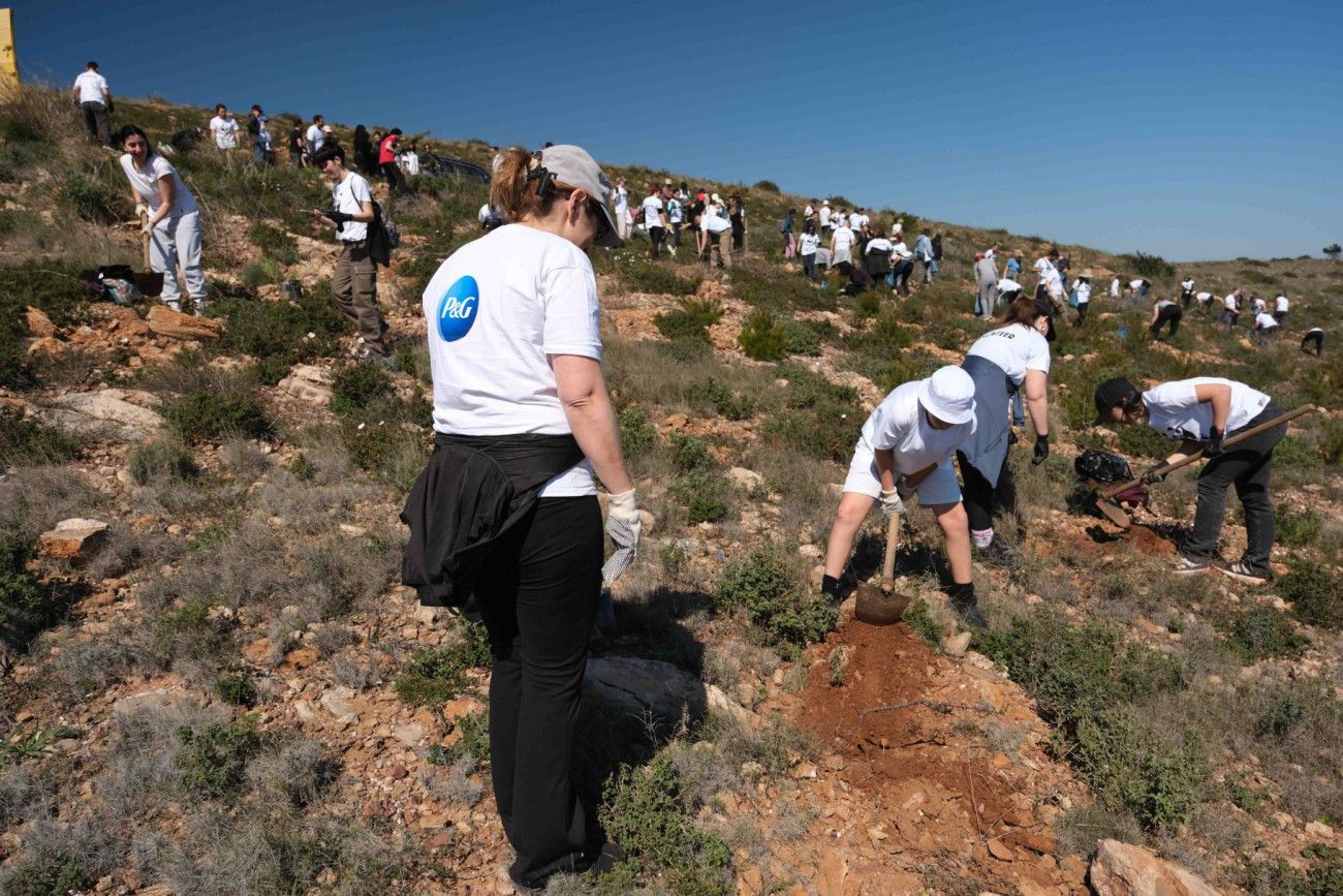 Μια ουσιαστική συνεργασία: P&G και WWF Ελλάς ενώνουν δυνάμεις για την προστασία των δασών