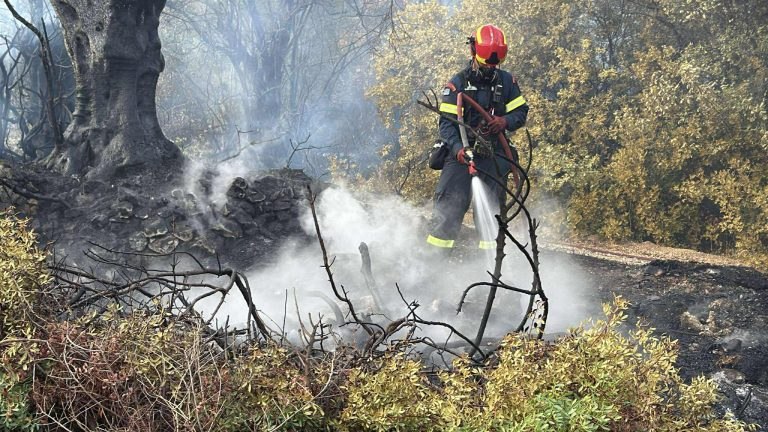 Υπό έλεγχο η πυρκαγιά στο Πυργί Λέσβου – 55 αγροτοδασικές πυρκαγιές σε 24 ώρες