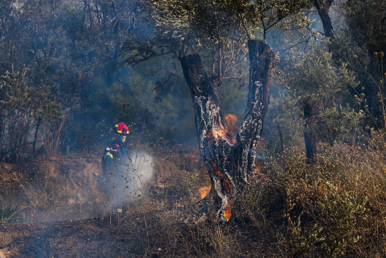 ΚΚΕ: Επικριτική αποτίμηση της κυβέρνησης για τις πυρκαγιές στη Χίο