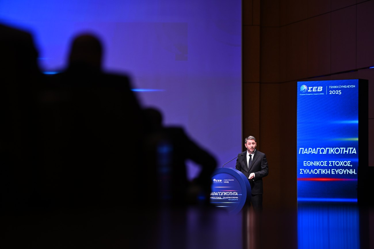 Ανδρουλάκης: Εθνικός στόχος η παραγωγική ανασυγκρότηση και η υλοποίησή της μέσω του κυβερνητικού μας σχεδίου