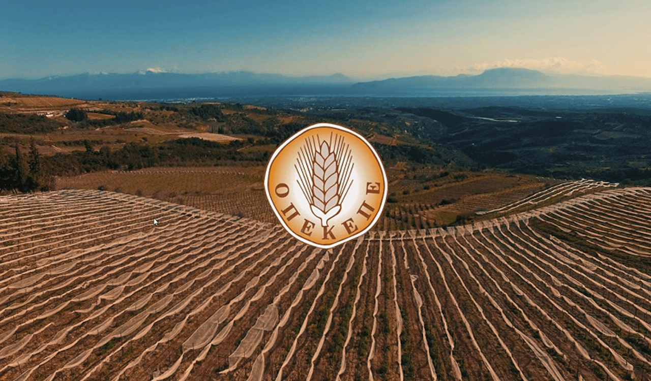 Σε βάθος η κρίση στον ελληνικό γεωργικό τομέα: Νέες παραιτήσεις αναστατώνουν τη Νέα Δημοκρατία