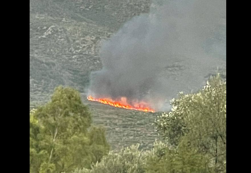 Φωτιά ξέσπασε στην Σπάρτη – Εναέρια μέσα αναλαμβάνουν δράση