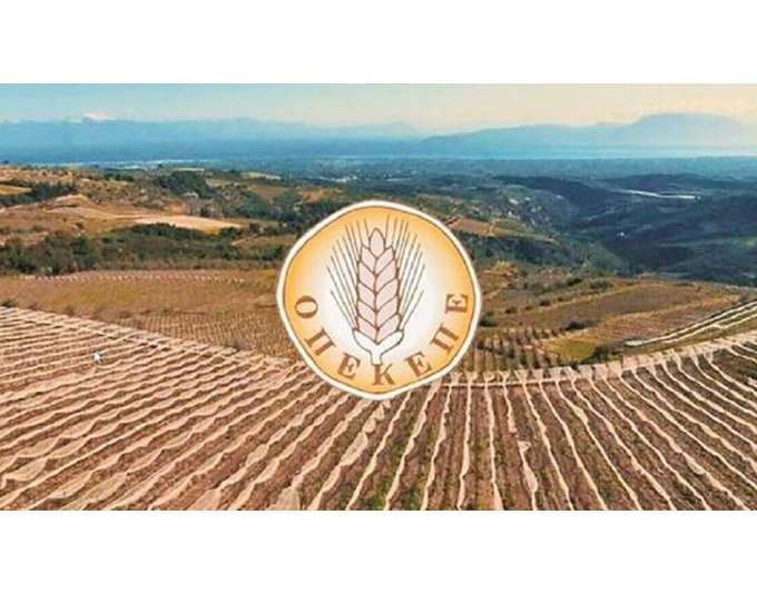 Σκάνδαλο ΟΠΕΚΕΠΕ: Αποκαλυπτικοί διάλογοι για τα ρουσφέτια και τις παραιτήσεις στελεχών της ΝΔ