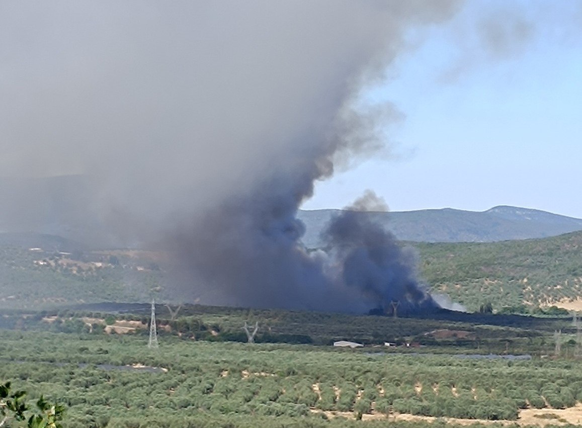 Φωτιά στην Αχλάδι Στυλίδας: Άμεση κινητοποίηση μέσω 112